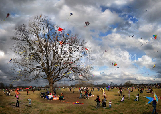 018_Austin_Zilker_Park_Kite_Festival_Kite_Eating_Tree