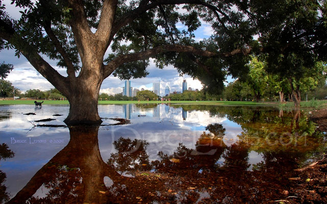 036_Austin_Zilker_Park_skyline_2