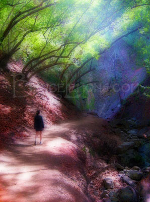 042_Solvang_CA_Nojoqui_Falls