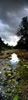 T017_Austin_Barton_Creek_Twin_Falls_2