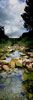 T048_Austin_Barton_Creek_Greenbelt_1